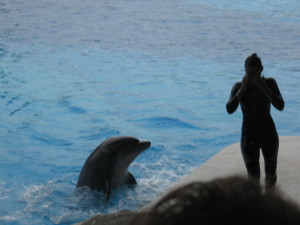 Oltremare. 30 settembre 2012 050