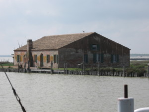 comacchio 15 aprile 12 050